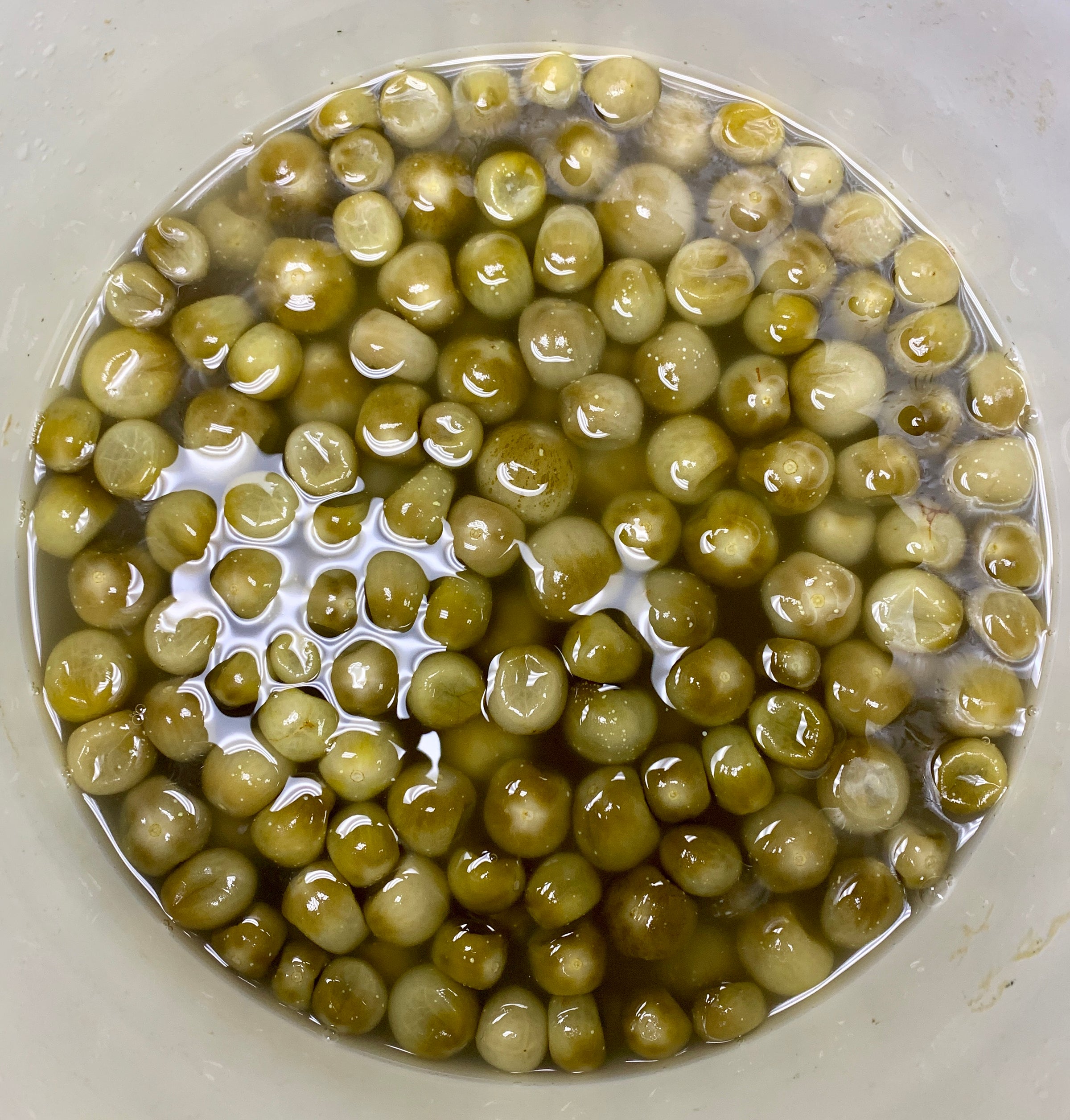 玉葱 Sour Green Tomatoes | Pickle Envy